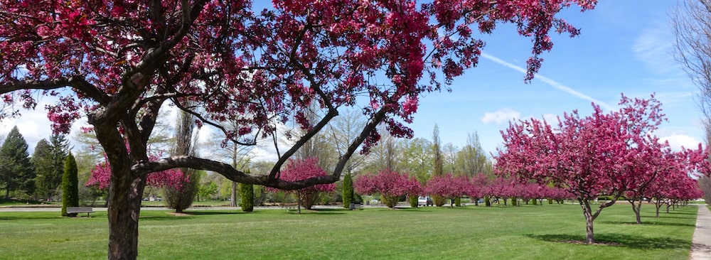 Garden City Area Info